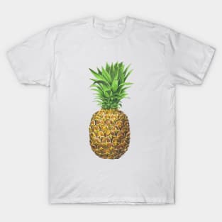 Pineapple, tropical fruit T-Shirt